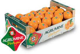 Verse rijp geplukte sinaasappelen uit Portugal 1 kg