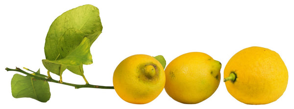Rijp geplukte Siciliaanse citroen 1 kg