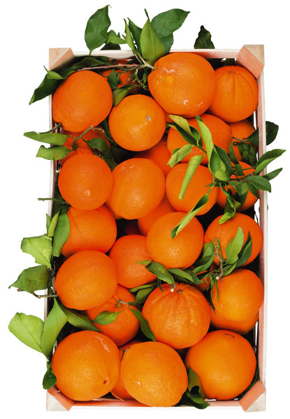 Rijp geplukte Siciliaanse sinaasappelen 1 kg